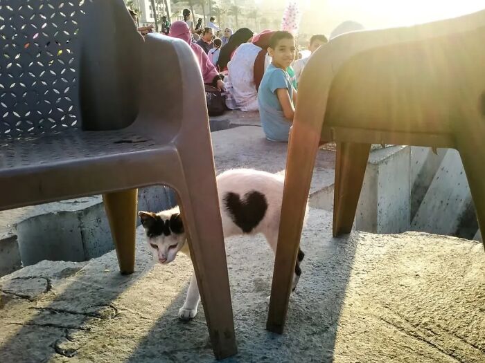 Wait, Did These Street Photos Just Nail Life’s Funniest & Most Surprising Moments?