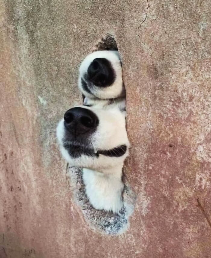 Wait, Did These Street Photos Just Nail Life’s Funniest & Most Surprising Moments?