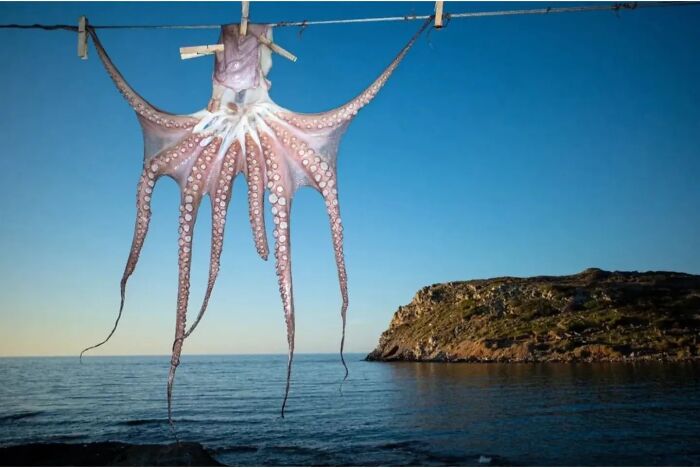 Wait, Did These Street Photos Just Nail Life’s Funniest & Most Surprising Moments?