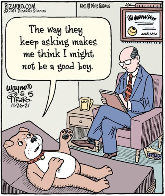 50 Dan Piraro Comics That’ll Totally Make Your Day