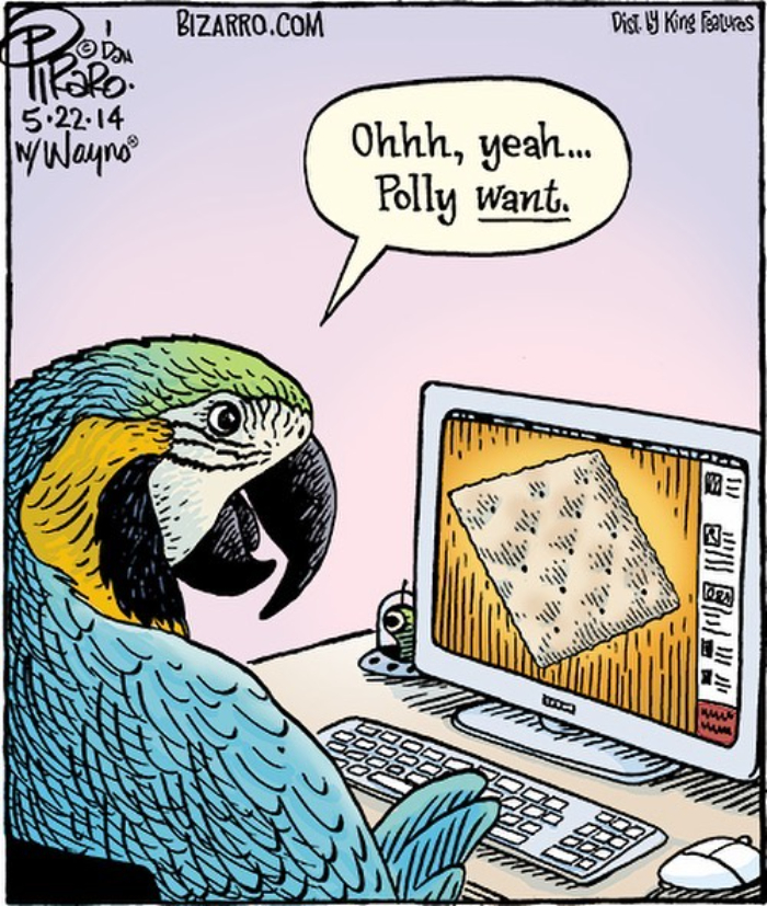 50 Dan Piraro Comics That’ll Totally Make Your Day