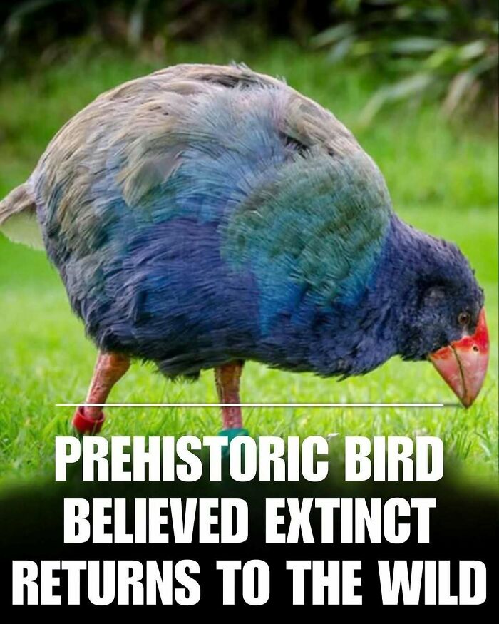 83 Animal Moments That Will Totally Brighten Your Day