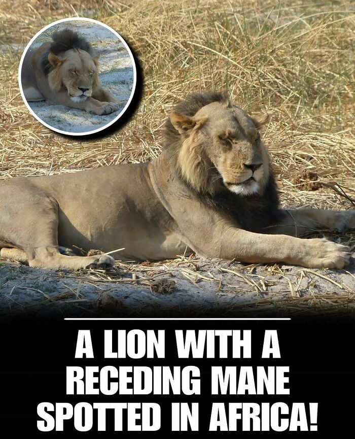 83 Animal Moments That Will Totally Brighten Your Day