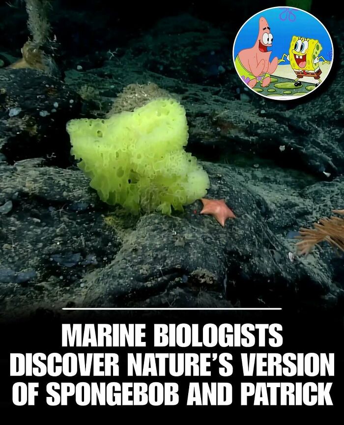 83 Animal Moments That Will Totally Brighten Your Day