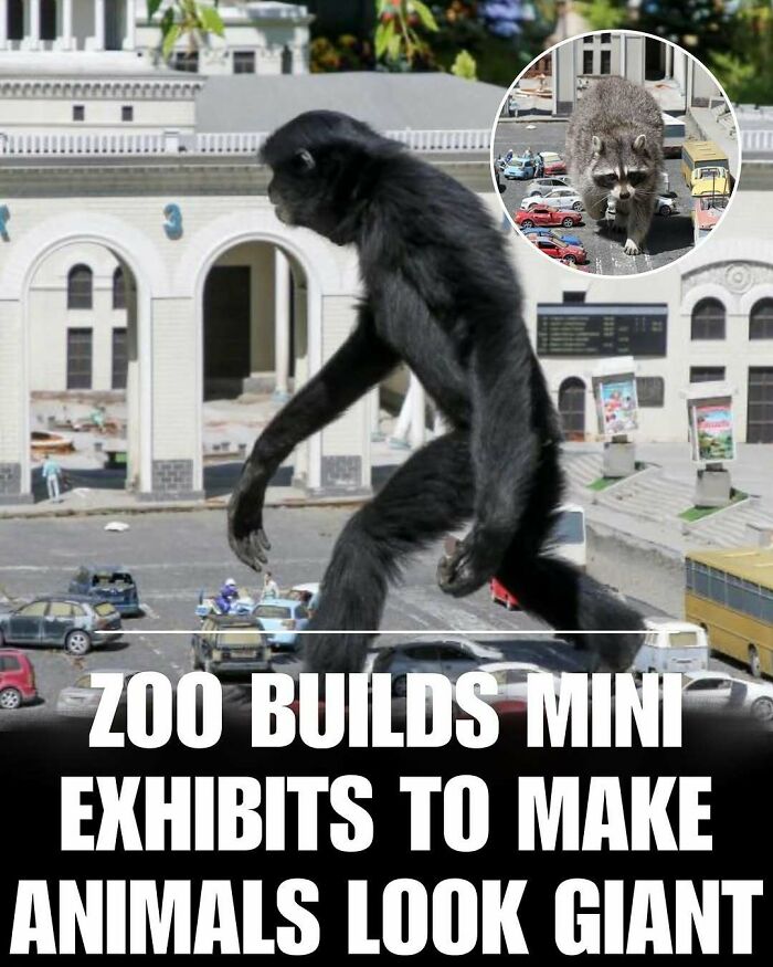 83 Animal Moments That Will Totally Brighten Your Day