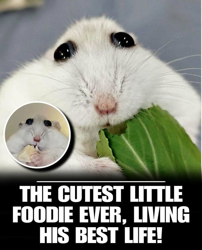 83 Animal Moments That Will Totally Brighten Your Day