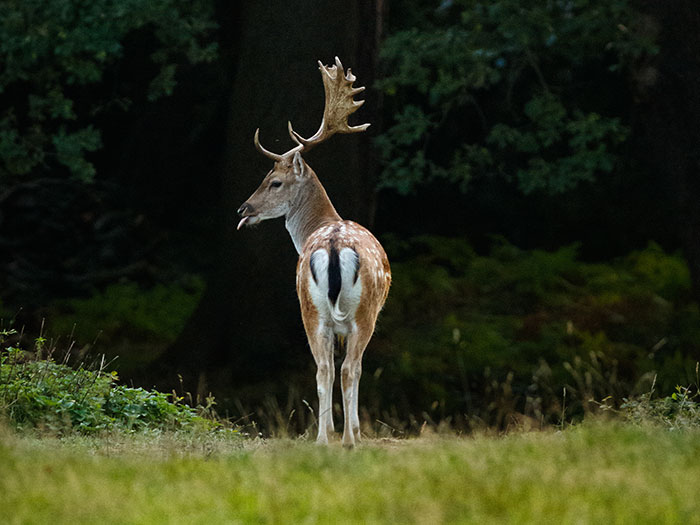 Wait, People Survived These Insane 'Wrong Place, Wrong Time' Moments?!
