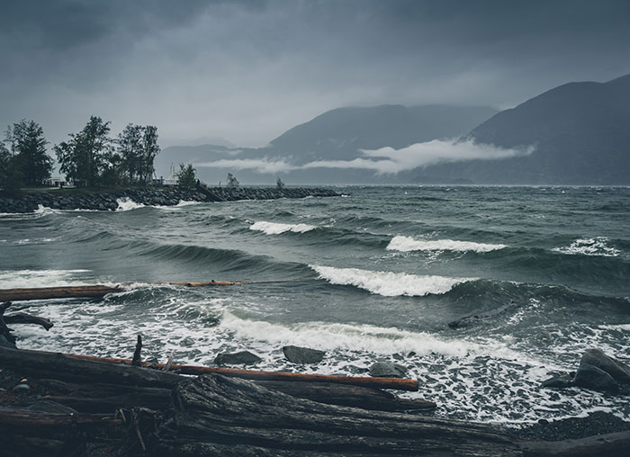 Wait, People Survived These Insane 'Wrong Place, Wrong Time' Moments?!