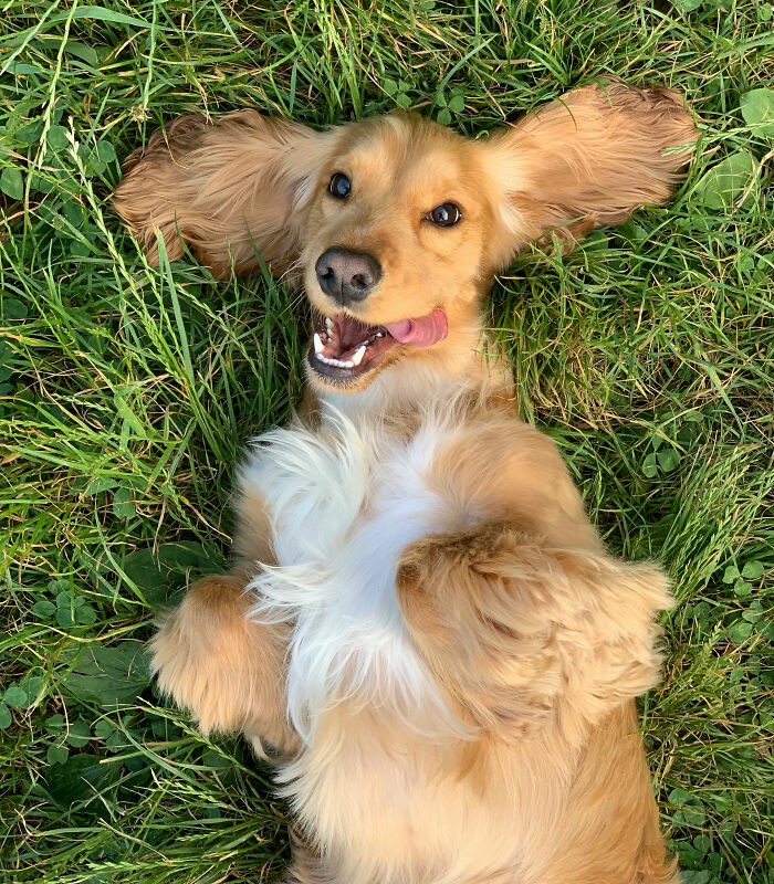 Let's Rank The Wildest Pet Names People Actually Use!