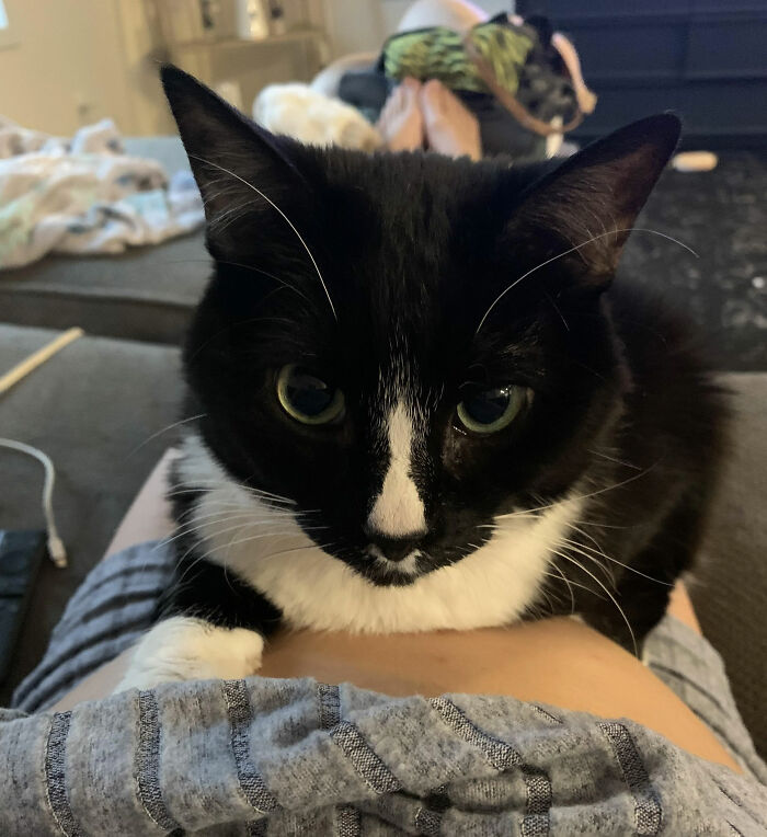 Let's Rank The Wildest Pet Names People Actually Use!