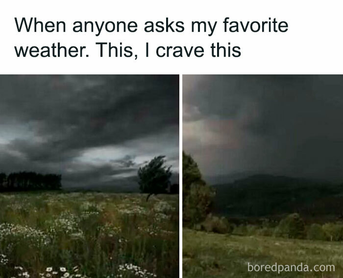 30 Introvert Memes That Totally Get Your Life