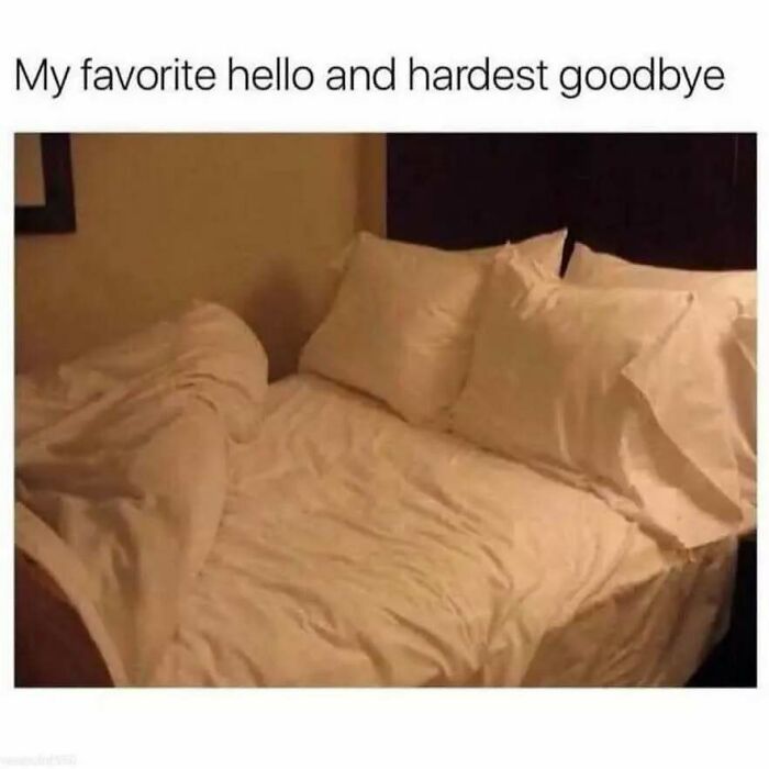30 Introvert Memes That Totally Get Your Life