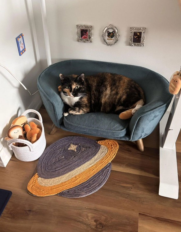 Let's Dive Into 50 Interior Design Ideas That'll Make You Wanna Redecorate RIGHT NOW