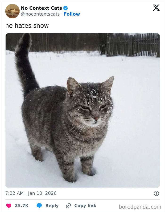 This Guy Hates Snow (Like, Really Hates It)