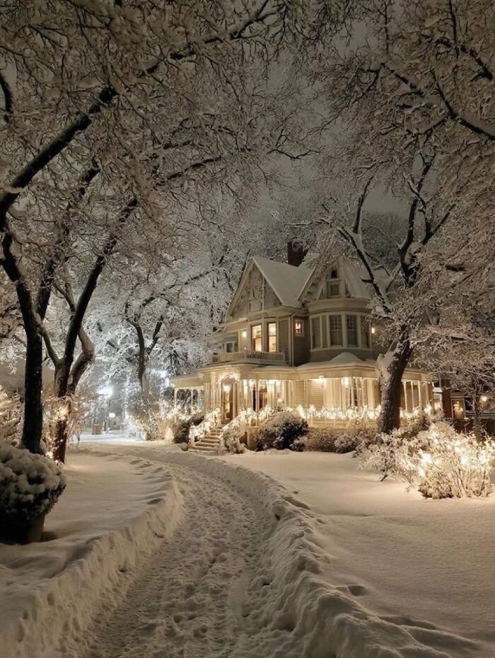 Winter Nights That Feel Like Magic