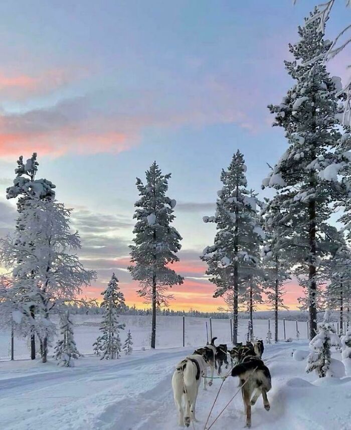 Snowy, Snowy Everywhere