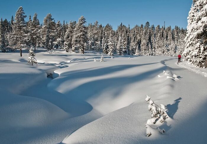 Winter Landscape Magic in Norway