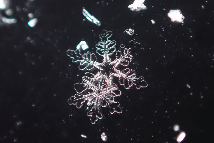 Snowflakes Like Tiny Frozen Stars