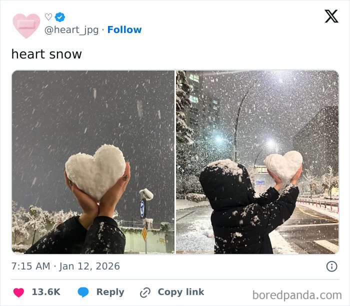 Snow Heart, Because Why Not?