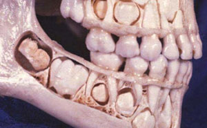 Weird & Wow! 50 Medical Pics That’ll Totally Make You Say ‘Whoa!’