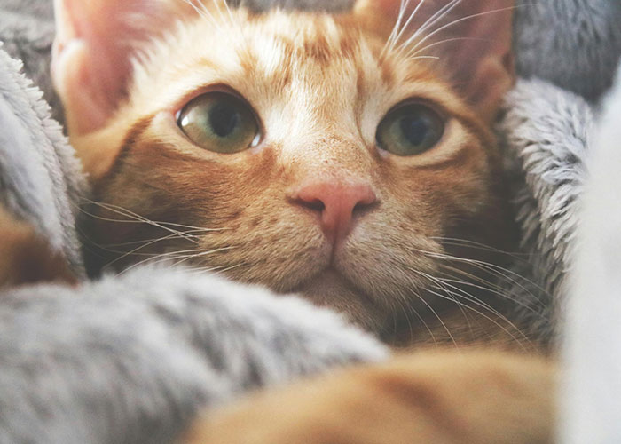 The Wildest 'No Way That Happened' Stories Ever Told