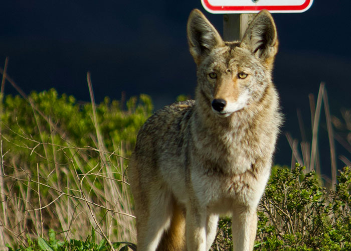 The Wildest 'No Way That Happened' Stories Ever Told