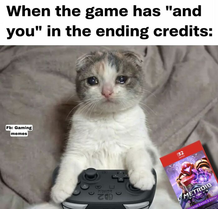 The Funniest Gamer Memes That Totally Get What Playing Feels Like