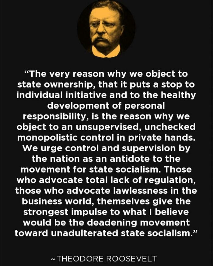 Teddy Roosevelt, Thinking Hard