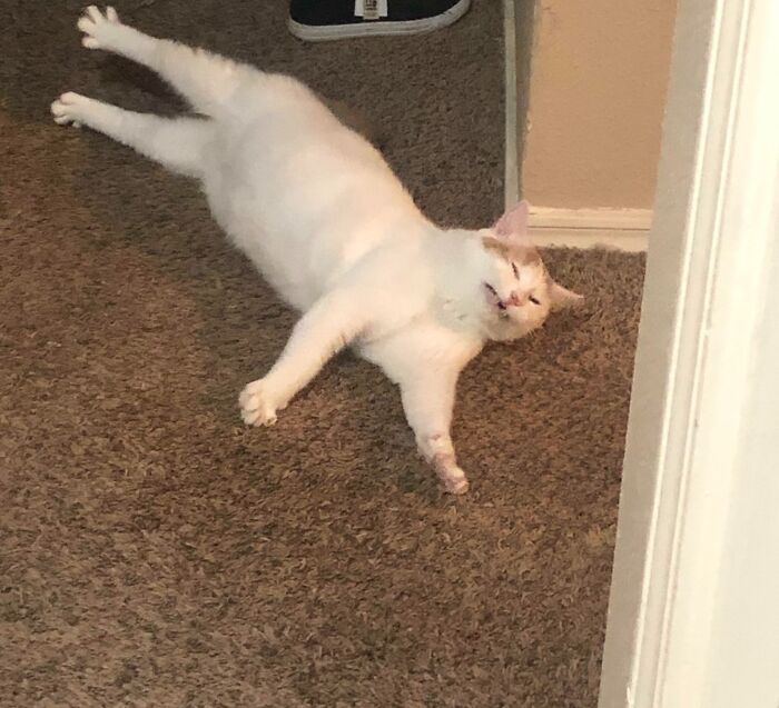 Beanee Weenees? More Like Bean There, Loved That!