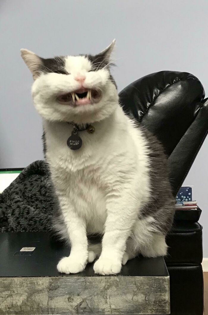 The Ultimate Scrungiest Tm – You’d Never Guess He Only Has One Eye!