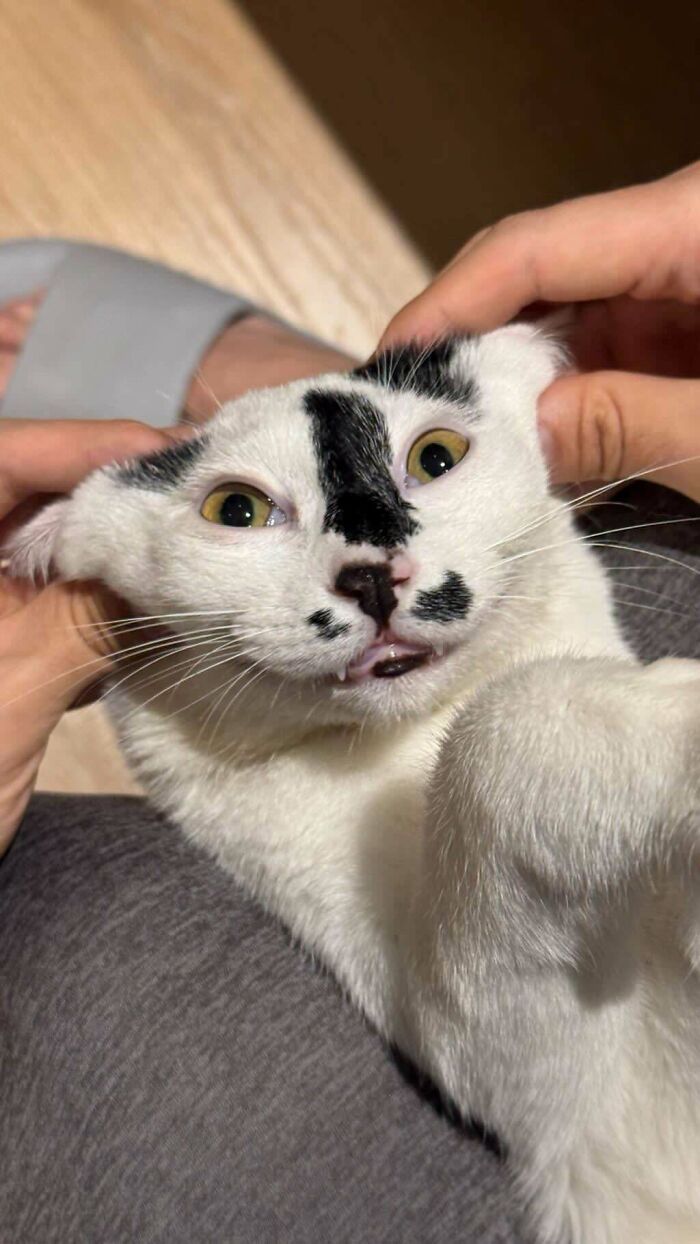 Milk, Spotted in a Trash Can Near the Metro