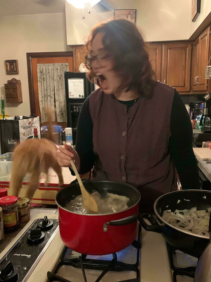 Blurry Picture Of A Cat #2: The Saga Continues