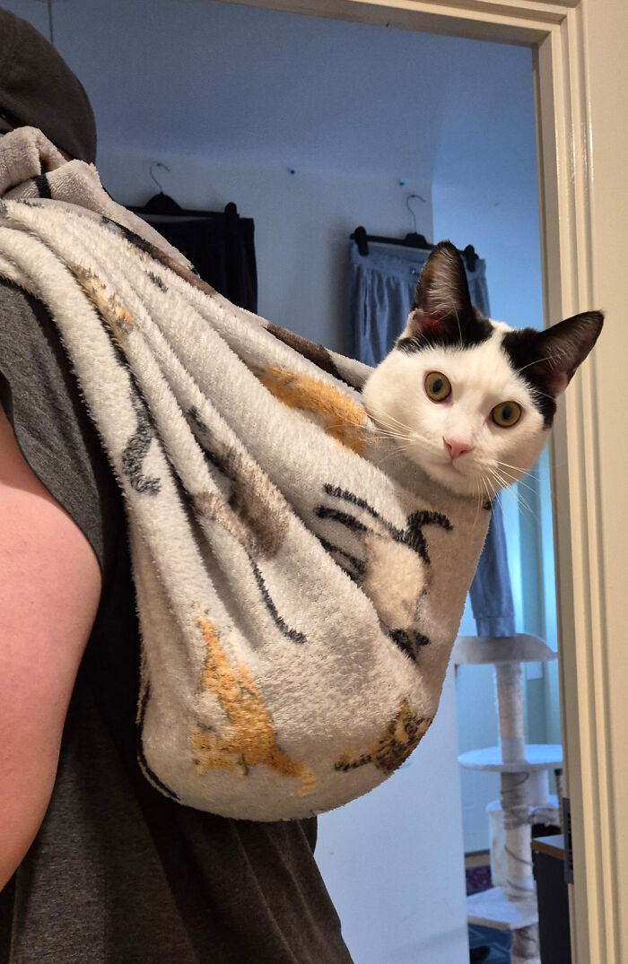 He Was Being a Pickle, So I Put Him in Air Prison