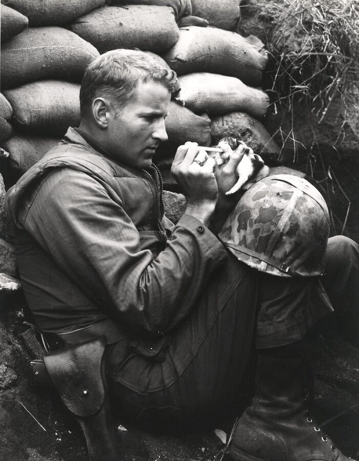 This Korean War Marine And His Tiny Kitten: Best Buds For Life