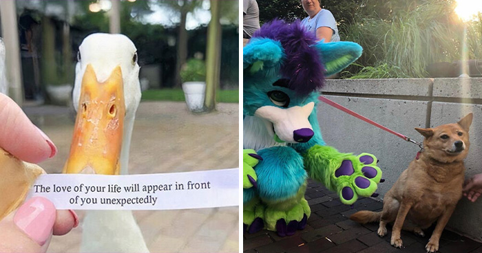 25 Weird Pics That Make You Go “Wait, What?!”