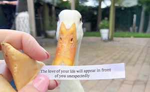 25 Weird Pics That Make You Go 