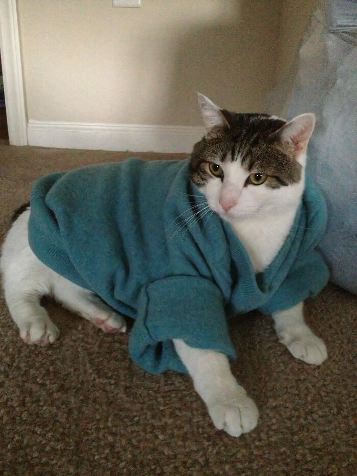 How To Tell Your Husband You Accidentally Shrank His Favorite Wool Sweater