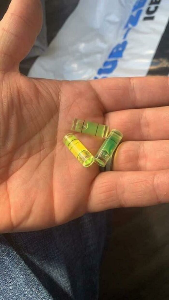 25 Weird Pics That Make You Go "Wait, What?!"