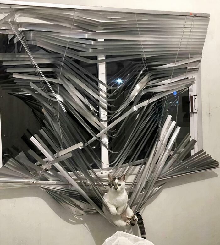 25 Weird Pics That Make You Go "Wait, What?!"