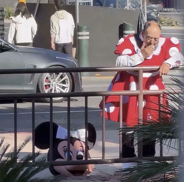 25 Weird Pics That Make You Go "Wait, What?!"