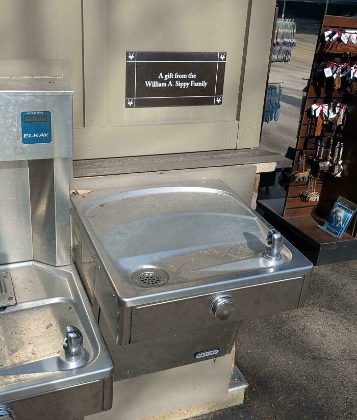 25 Weird Pics That Make You Go "Wait, What?!"