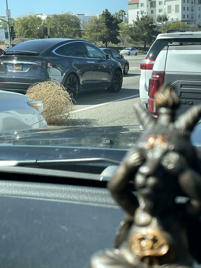 25 Weird Pics That Make You Go "Wait, What?!"