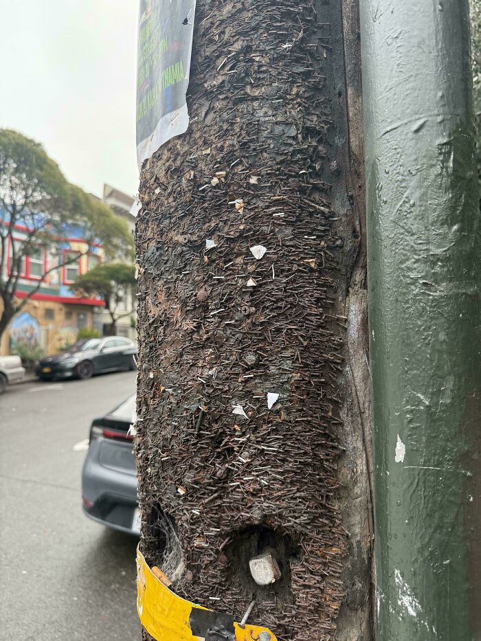 A Pole That’s Basically a Staple Graveyard