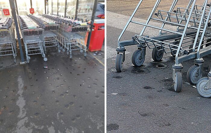 Shopping Carts Made Their Own Parking Spots (Potholes Included)