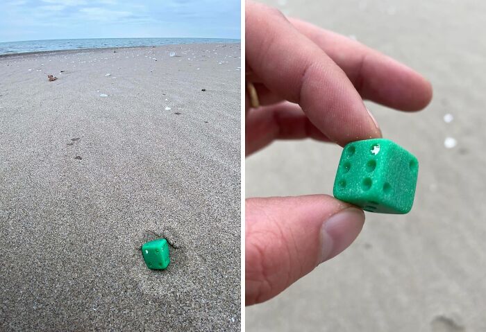 Dice From Lake Erie That Looks Like It Rolled a 2 (Sorry Not Sorry)