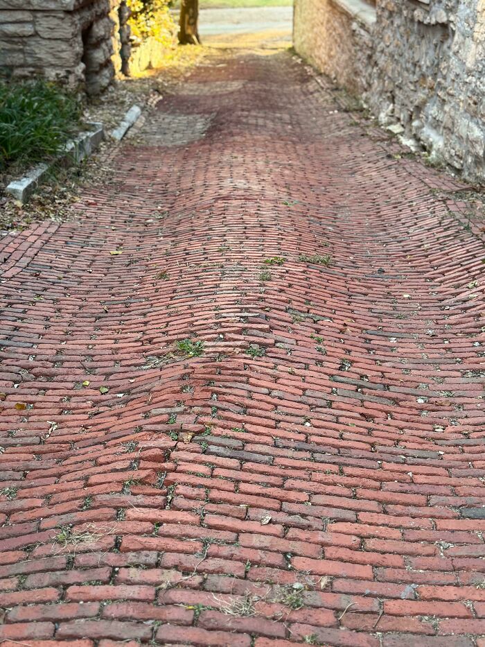 Brick Driveway Got That Vintage Look From Use