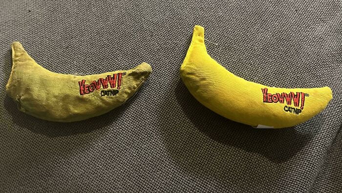 65 Everyday Things That Got Totally Loved (And Worn Out) Over The Years