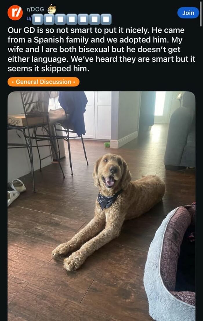 Wait, They Actually Ranked These 108 Totally Baffling Pics?