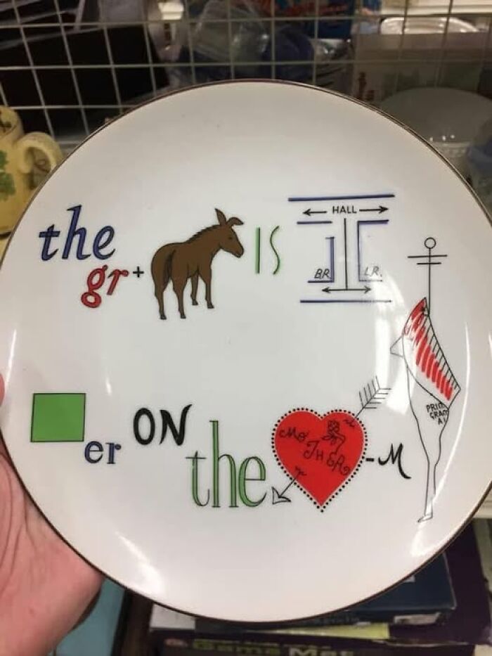 Wait, They Actually Ranked These 108 Totally Baffling Pics?