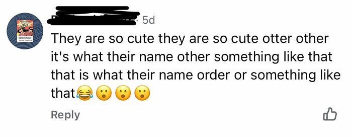 Wait, They Actually Ranked These 108 Totally Baffling Pics?